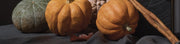 Trick Or Treat