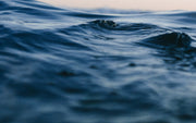 Diving Into Cyprus