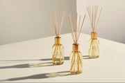 Fragrance Diffusers