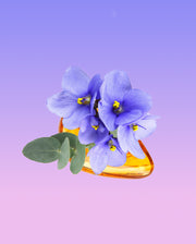 Image product fragrance