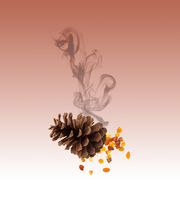Sacred Hollow 380g Scented Candle - Smoked Oud & Noble Resins