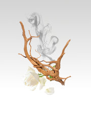 Image product fragrance