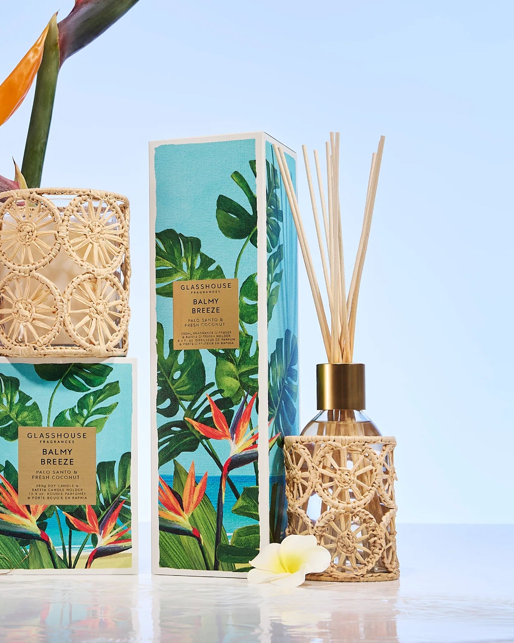 Fragrance Diffusers – Glasshouse Fragrances Australia