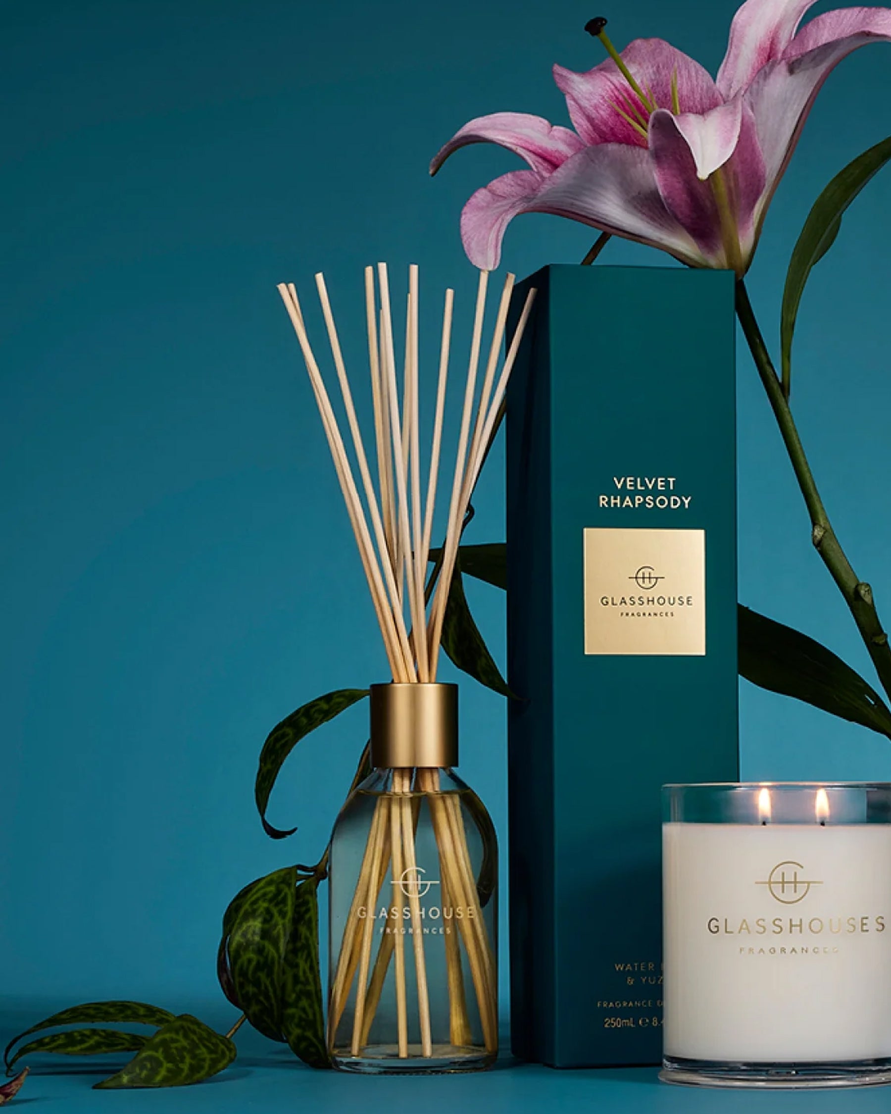 Fragrance Diffusers – Glasshouse Fragrances Australia