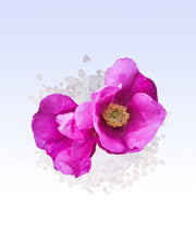 Image product fragrance