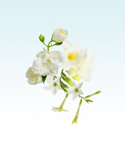 Image product fragrance