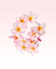 Image product fragrance