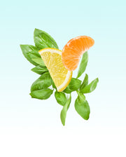 Image product fragrance