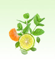 Image product fragrance