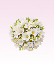 Image product fragrance