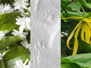 Jojoba Seed Oil. Aloe Vera